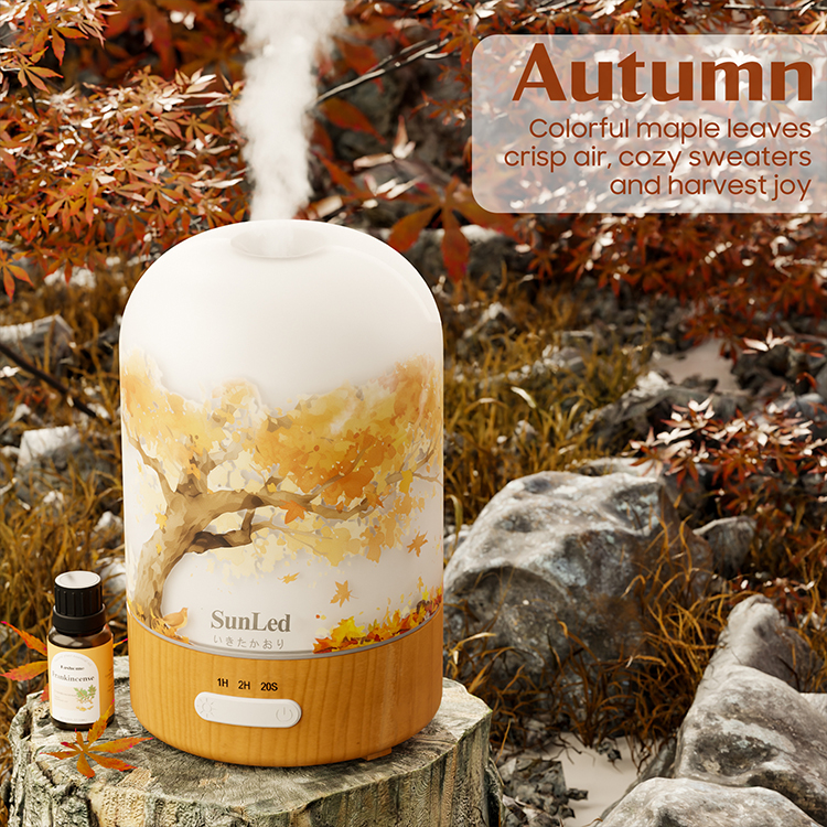 ເຄື່ອງກະຈາຍກິ່ນຫອມ